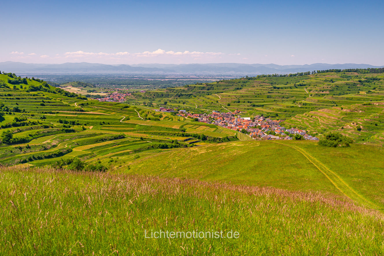 Blick auf das Winzerdorf im Kaiserstuhl