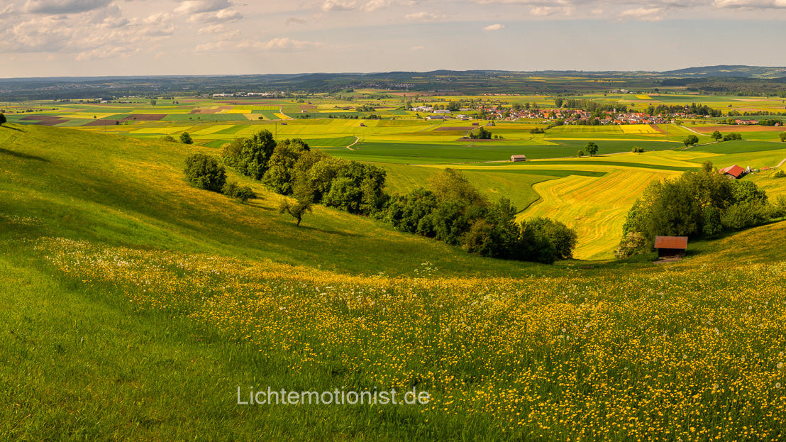 Sommerliche Weite am Fürstenberg