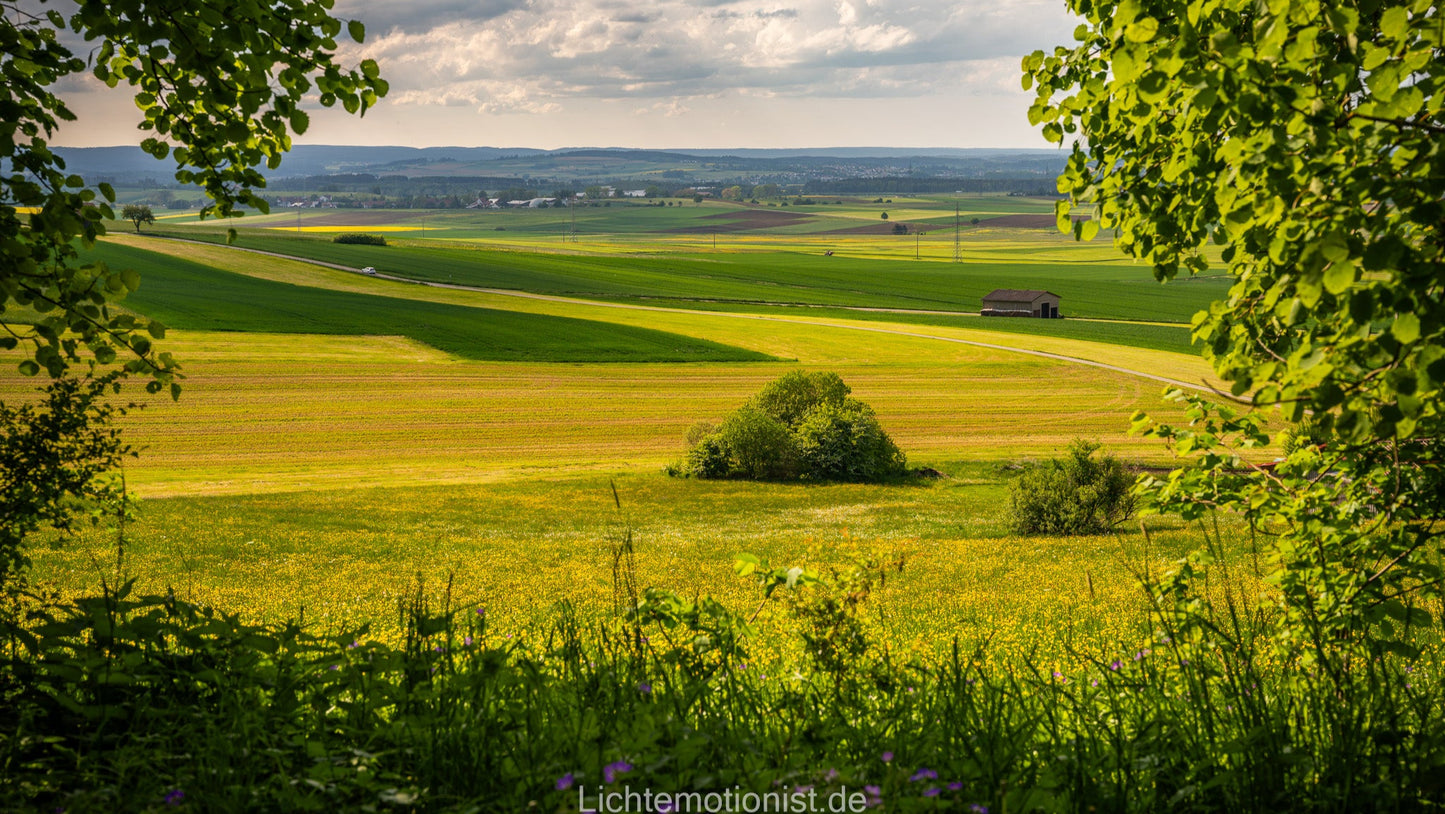 Blick durchs Blätterfenster