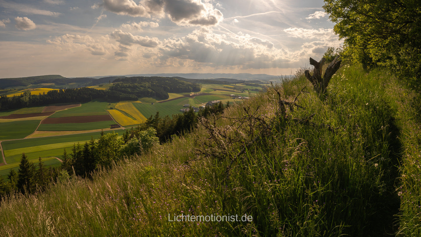 Pfad am Fürstenberg mit Blick ins Tal