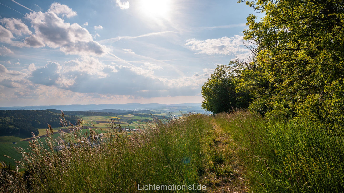 Wiesenpfad mit Aussicht am Fürstenberg