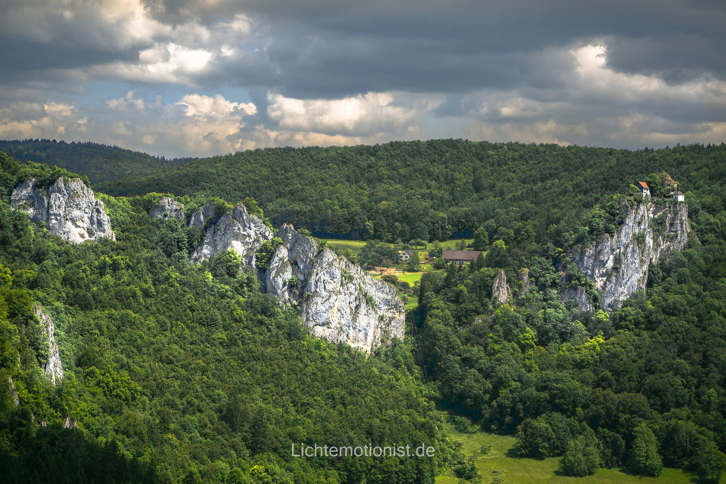 Grüne Waldlandschaft