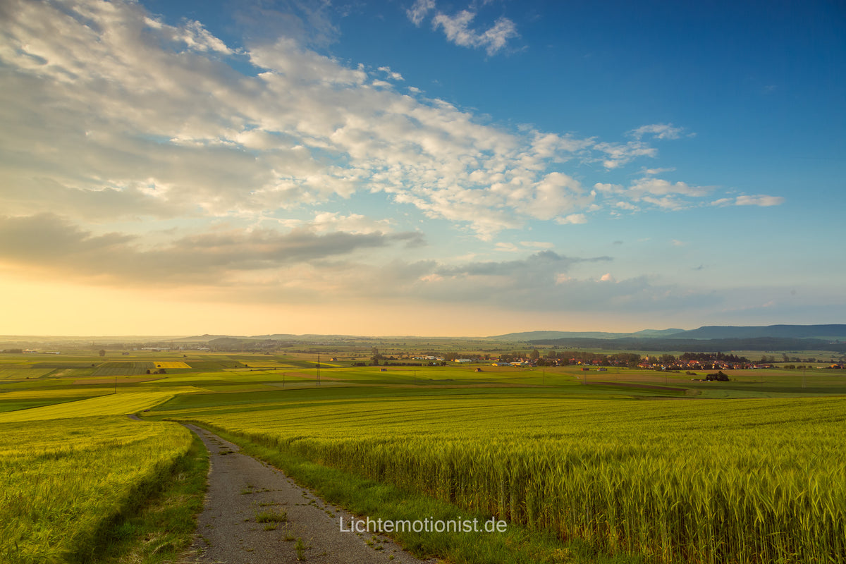Der Weg ins Abendgold – Frühlingsidylle in warmem Licht