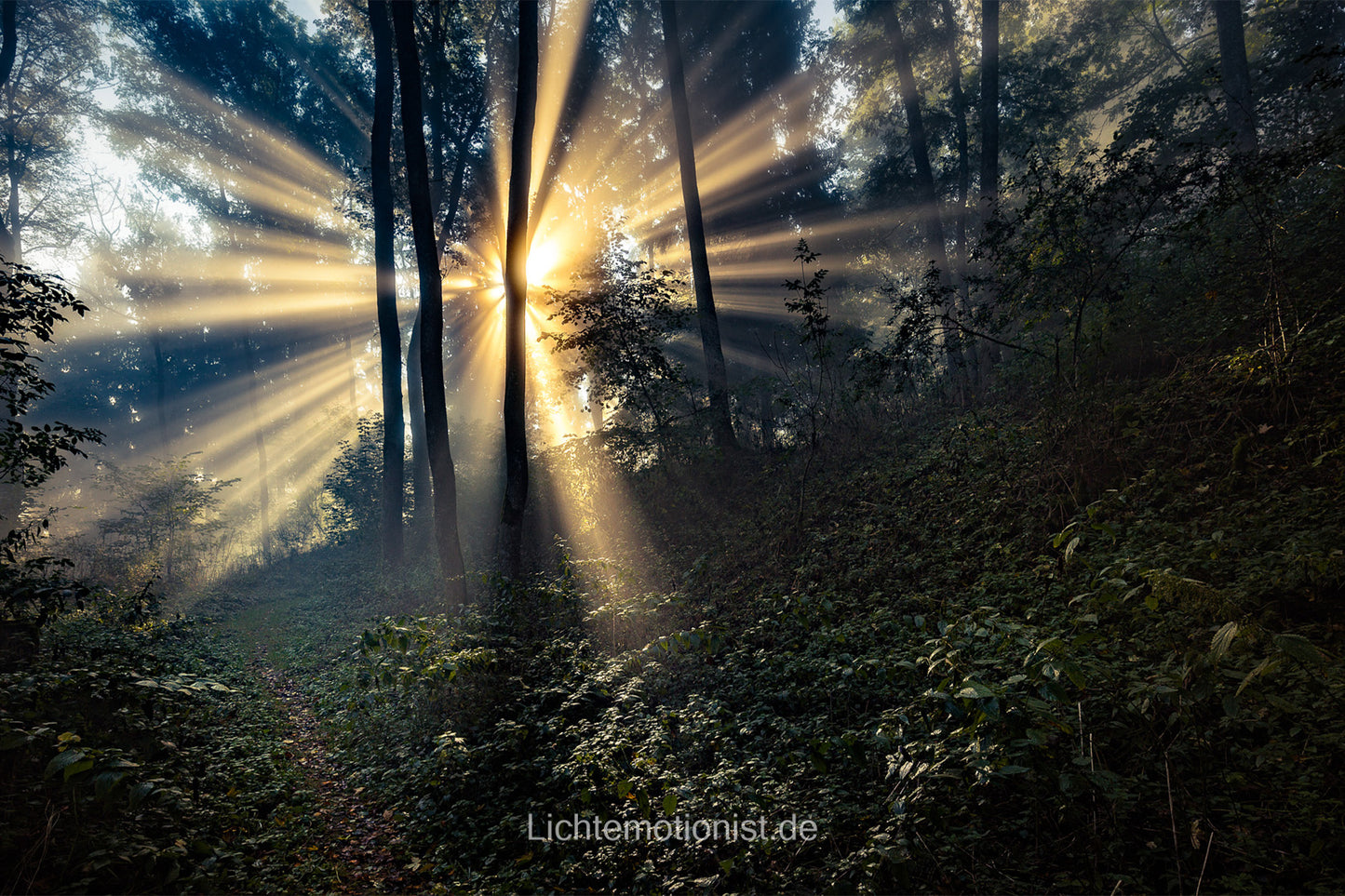 Licht in der Dunkelheit
