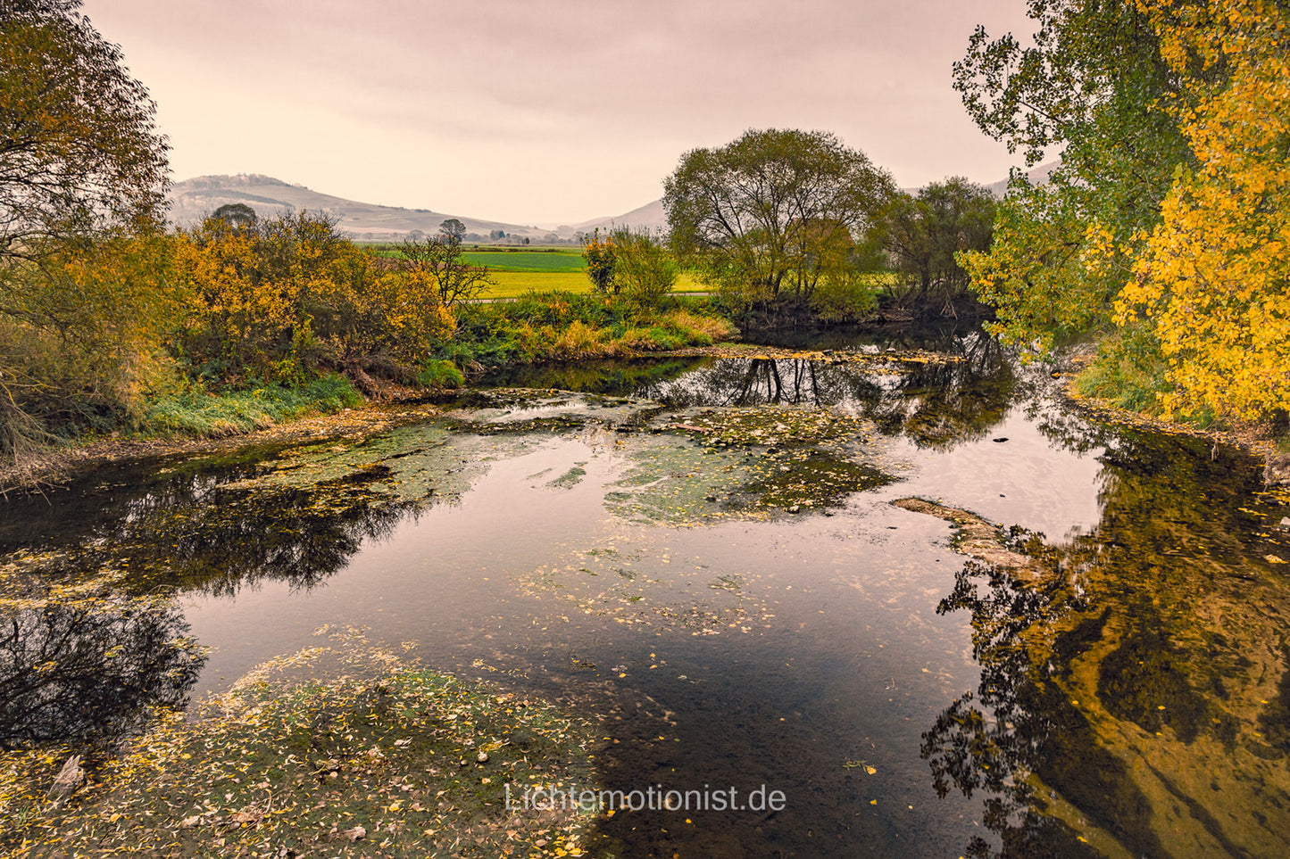 Spiegelungen in der Donau bei Neudingen