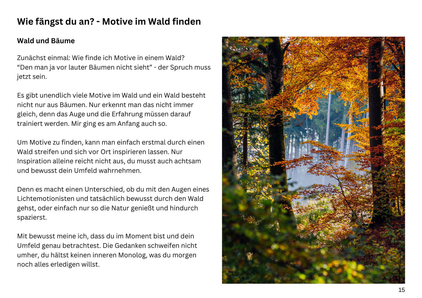 E-Book - Fotografie-Kurs für mystische Wälder - Teil 1
