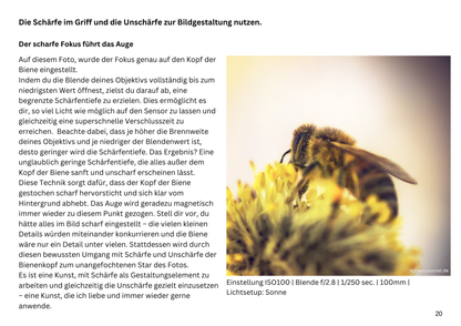 E-Book - Fotografie-Kurs für mystische Wälder - Teil 2