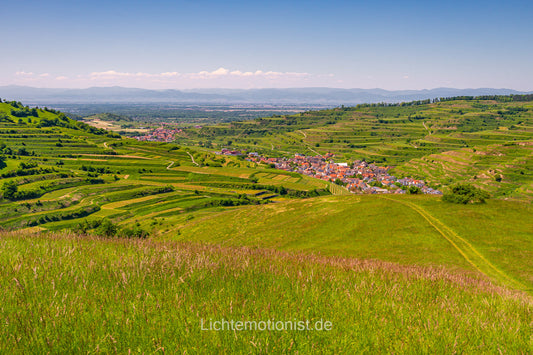 Blick auf das Winzerdorf im Kaiserstuhl