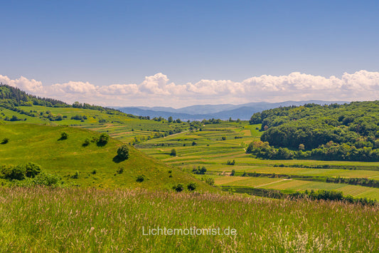 Weite Sommerlandschaft im Kaiserstuhl