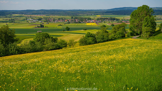 Blick über die Baar vom Fürstenberg