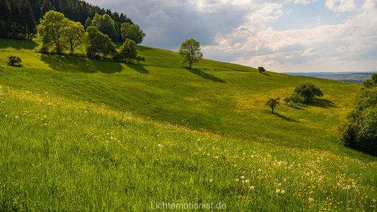 Sommerliche Hänge am Fürstenberg