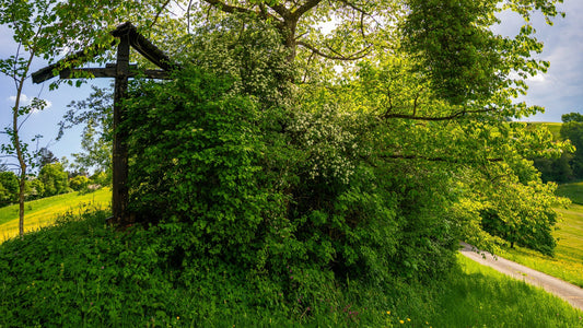 Wegkreuz im Sommerlicht