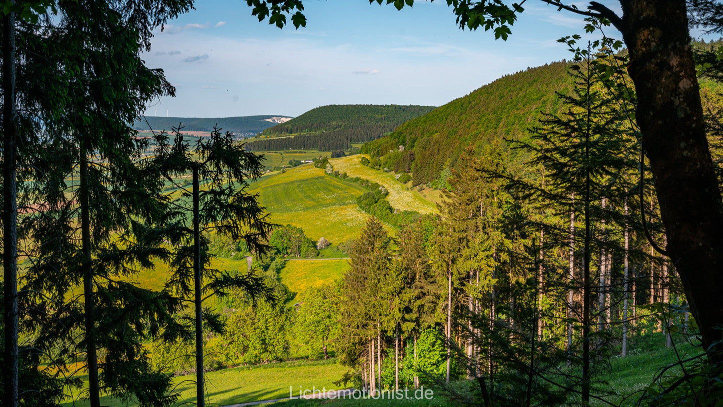 Blick ins Tal am Fürstenberg