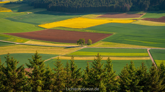 Blick über Felder am Fürstenberg
