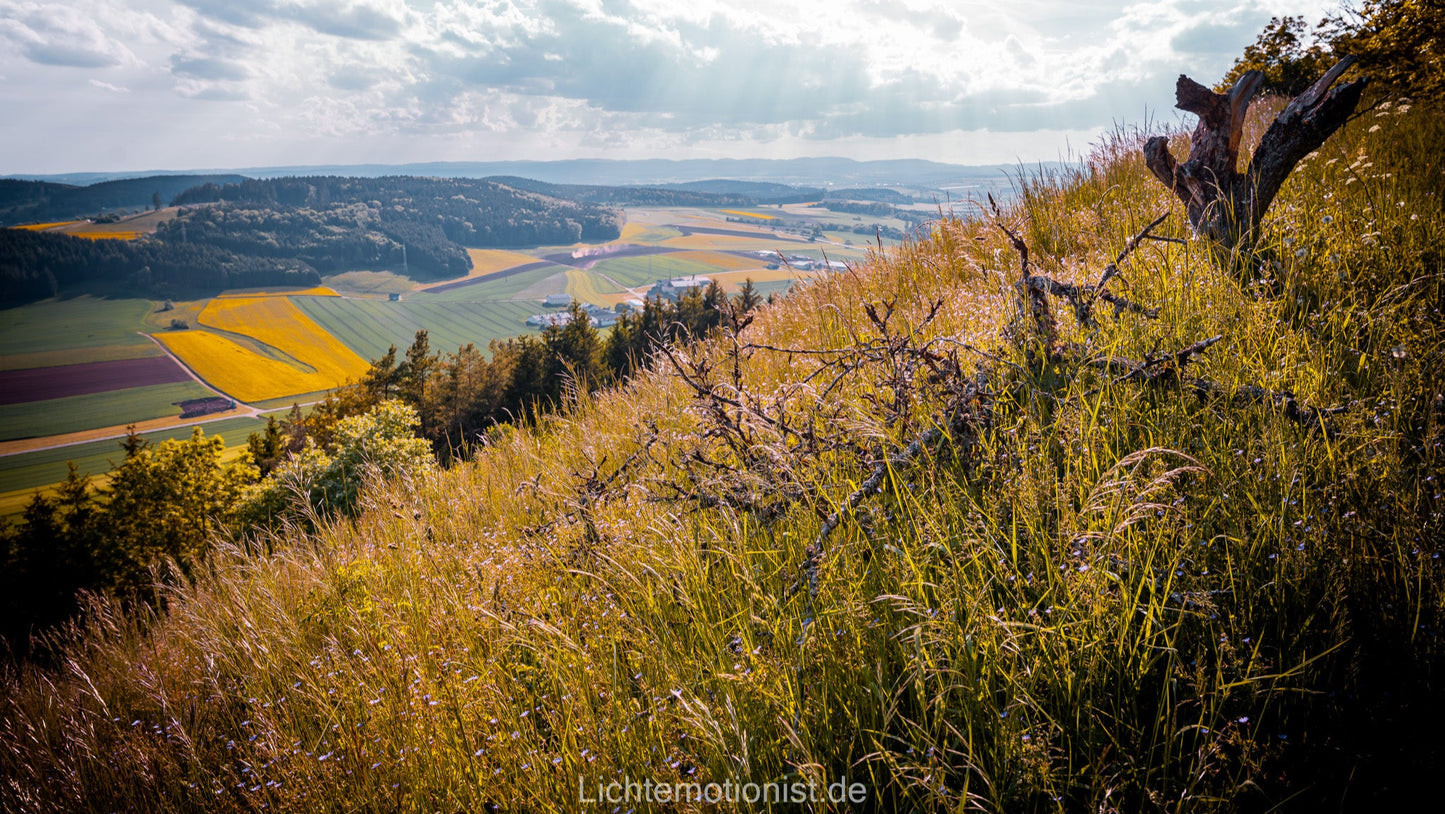 Blick vom Fürstenberg über blühende Wiesen
