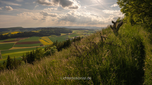 Pfad am Fürstenberg mit Blick ins Tal