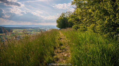 Wiesenpfad mit Aussicht am Fürstenberg