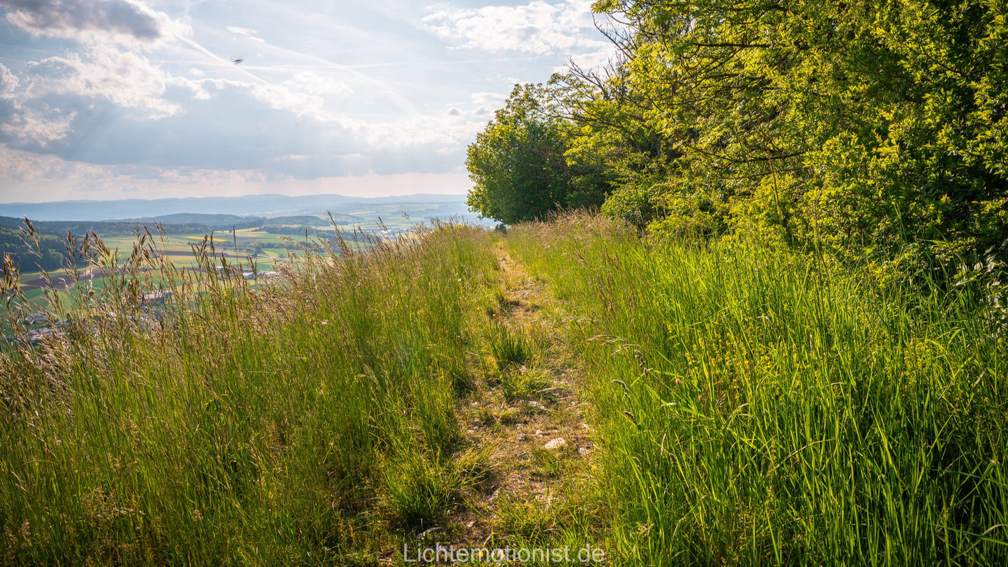 Wiesenpfad mit Aussicht am Fürstenberg