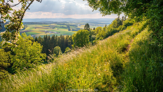 Blühender Wiesenhang mit Ausblick am Fürstenberg