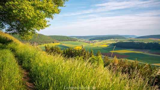 Weitblick vom Fürstenberg