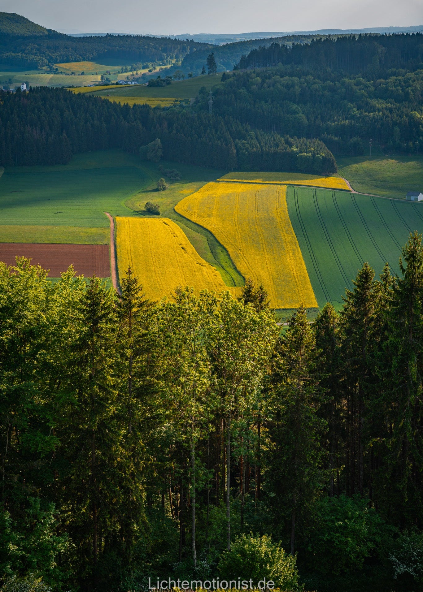 Felder und Wälder am Fürstenberg
