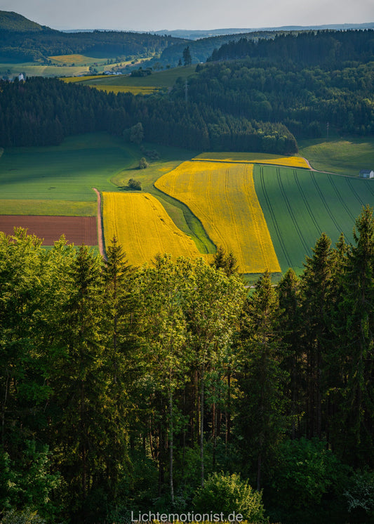 Felder und Wälder am Fürstenberg