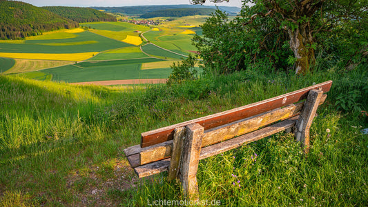 Bank mit Aussicht am Fürstenberg