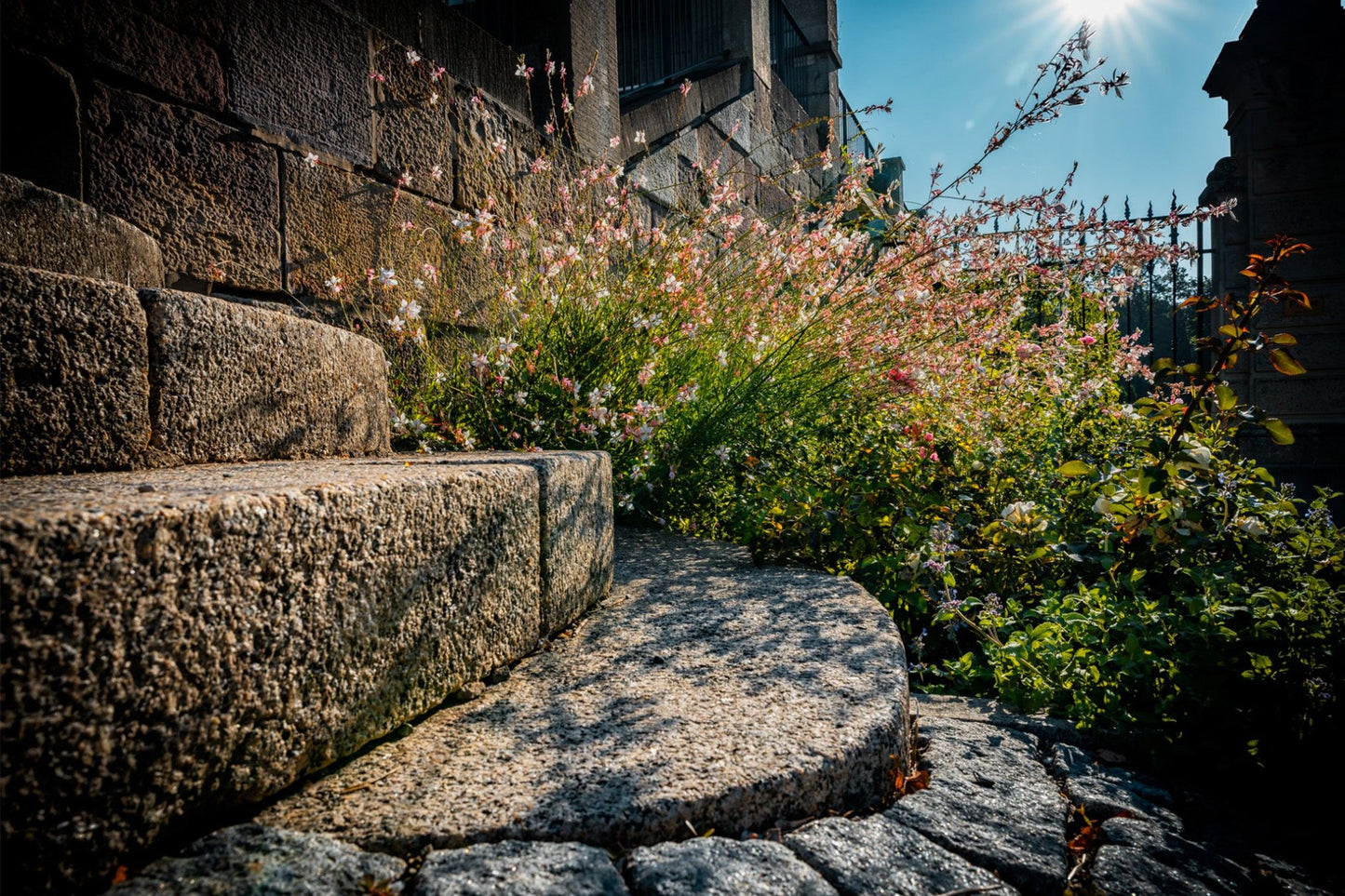 Blumen erobern Stadt