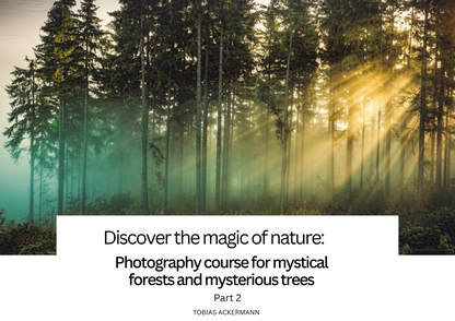 E-Book - Photography course for mystical forests and trees - Part 2