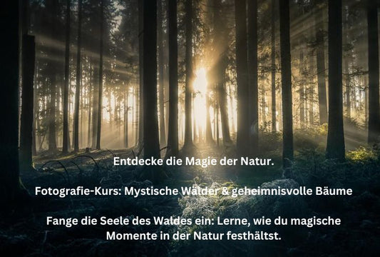 E-Book - Lerne die Magie der spektakulären Lichtstimmungen in der Natur.