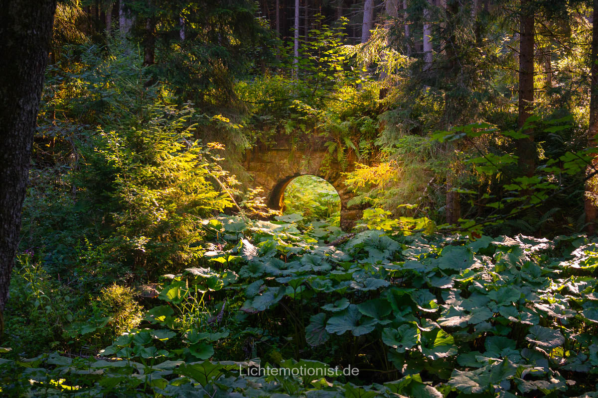 Tor aus Licht