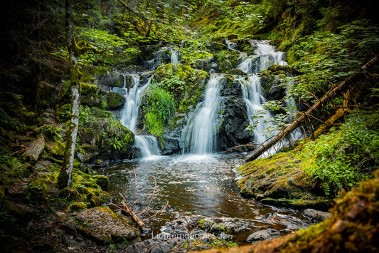 Wasserfälle der Rötenbachschlucht