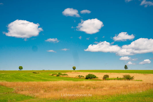 Felder an der Rötenbachschlucht