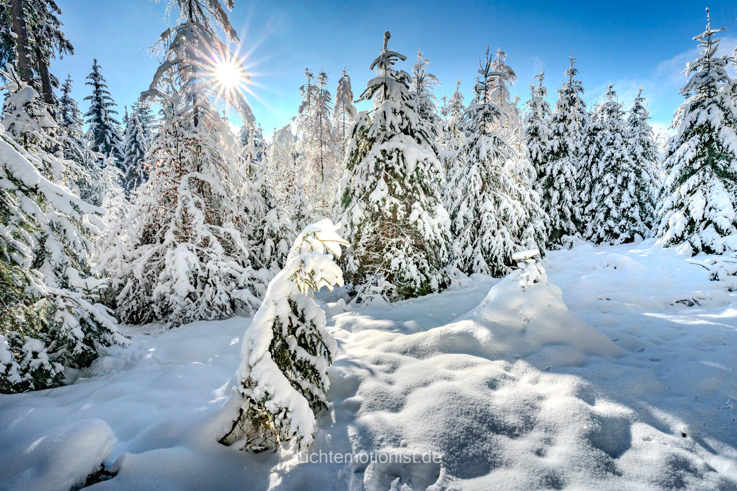 Winterzauber im Schwarzwald