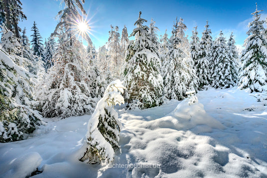 Winterzauber im Schwarzwald