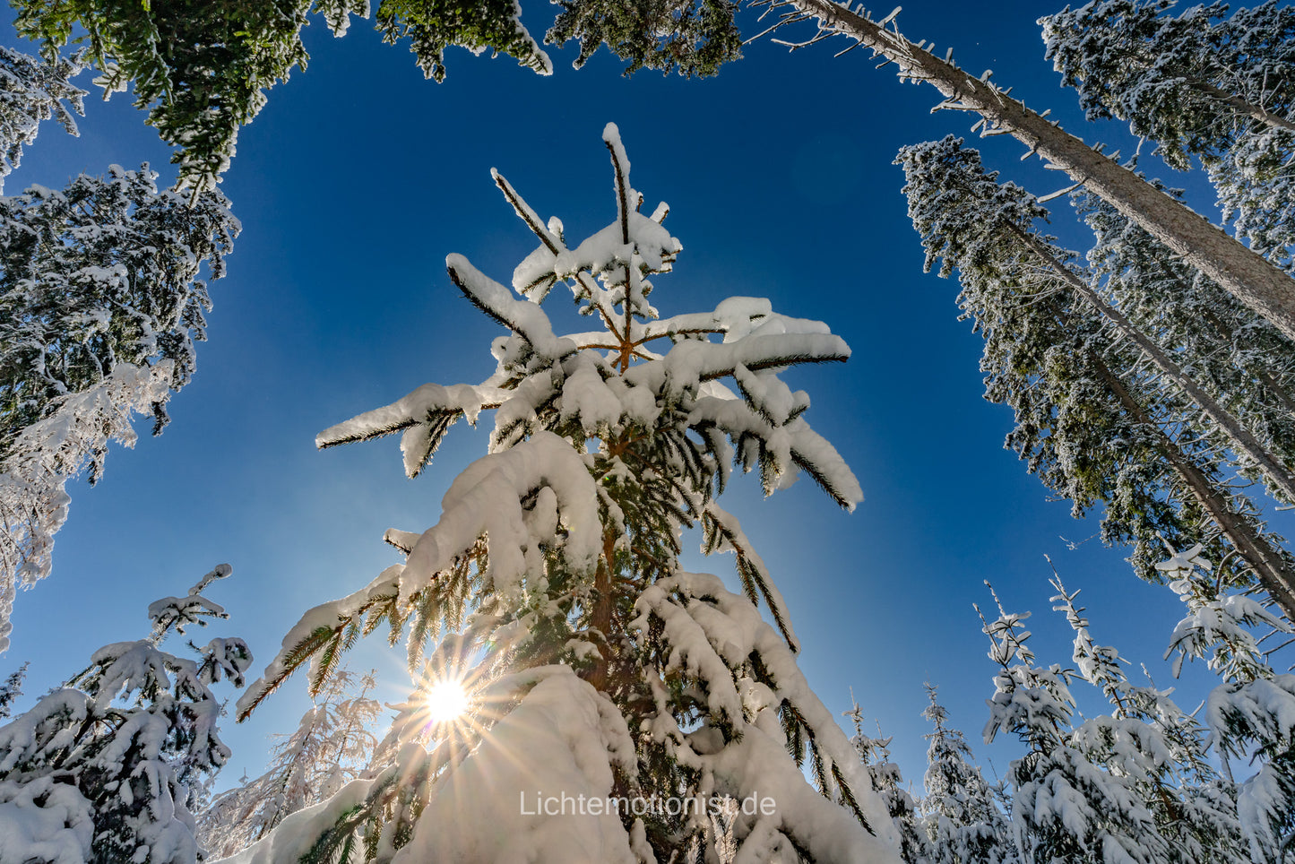 Winterlicher Perspektivenwechsel