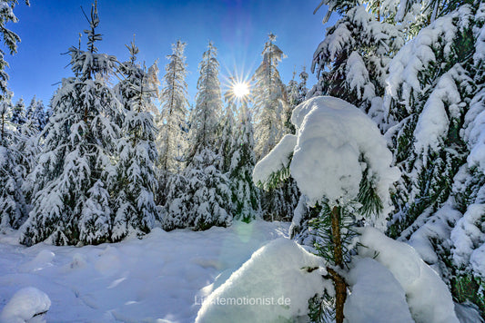 Winterzauber im Schwarzwald 2