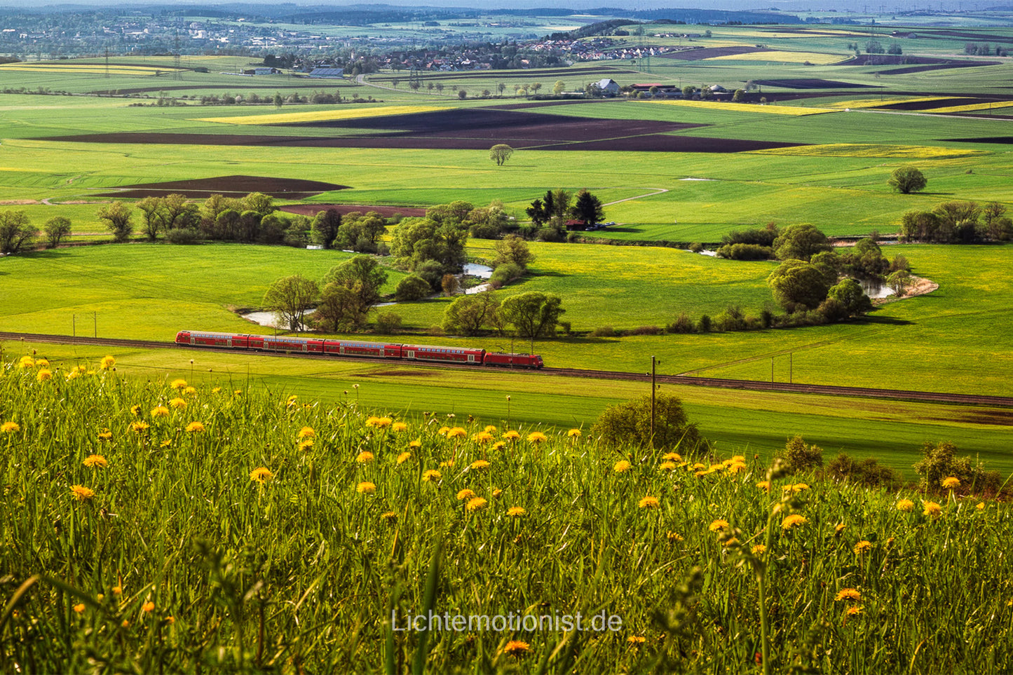 Sommer im Grünen