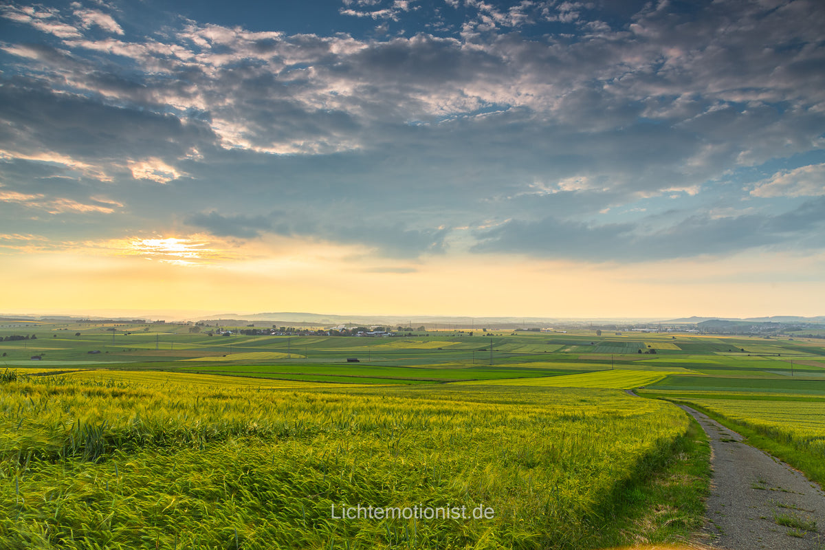 Frühlingslandschaft im Abendglanz
