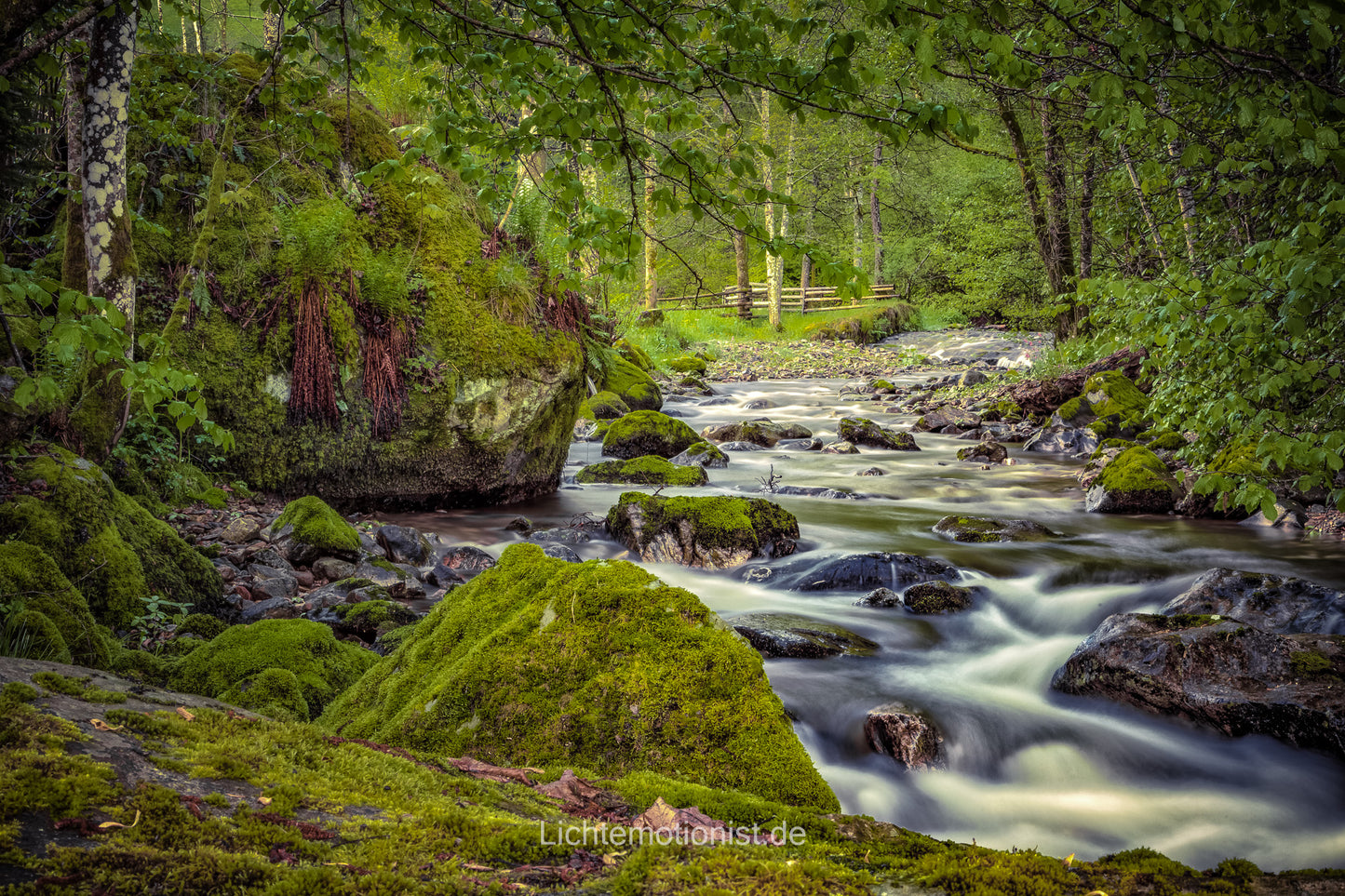 Verwunschene Flusslandschaft - Sanfte Strömung im grünen Wald
