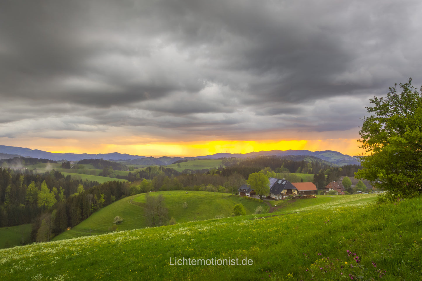 Ein Lichtstreifen am Horizont