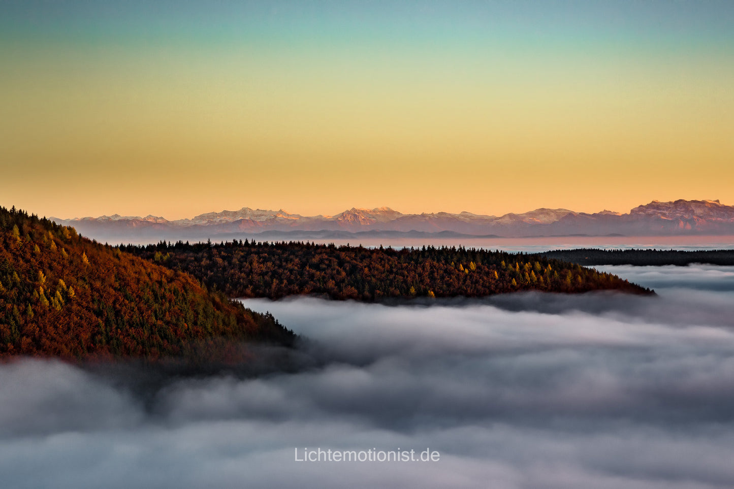 Morgenzauber auf dem Fürstenberg - Nebel, Wälder und ferne Alpen