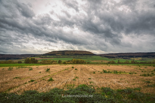 Stoppelfeld und grüne Felder