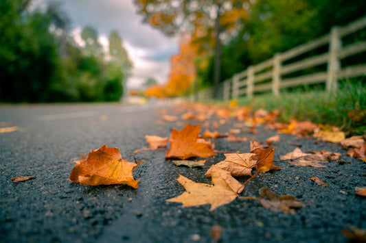 Herbstliche Straße