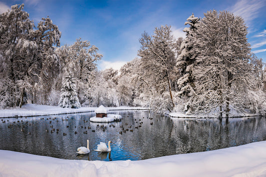 Naturerlebnis: Schlosspark Donaueschingen