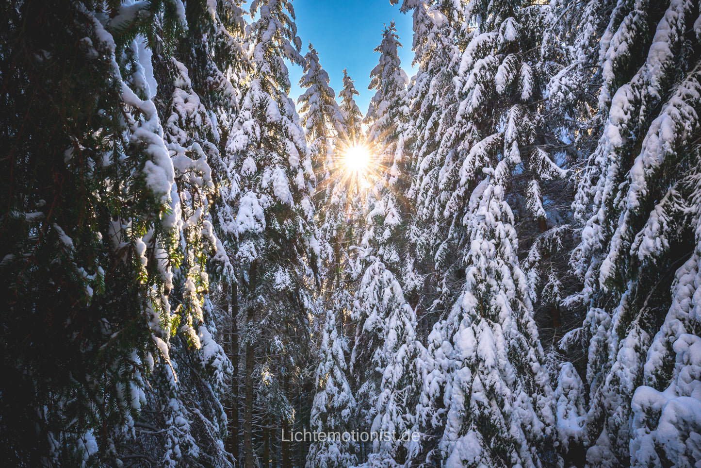 Schwarzwälder Winterwunderland