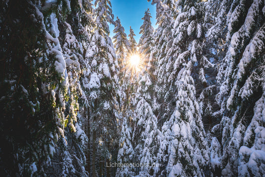 Schwarzwälder Winterwunderland