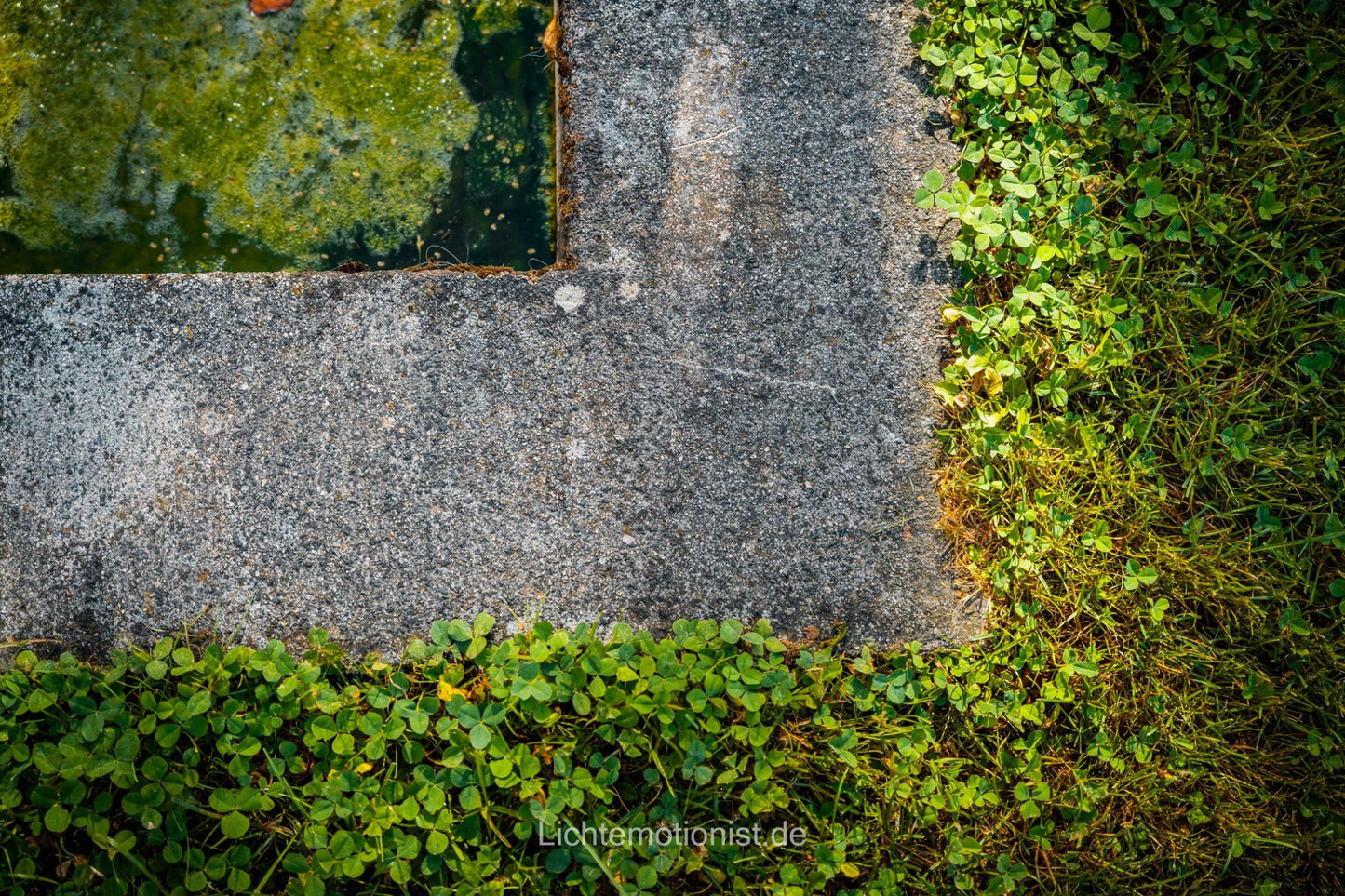 Natur verschmilzt mit Architektur