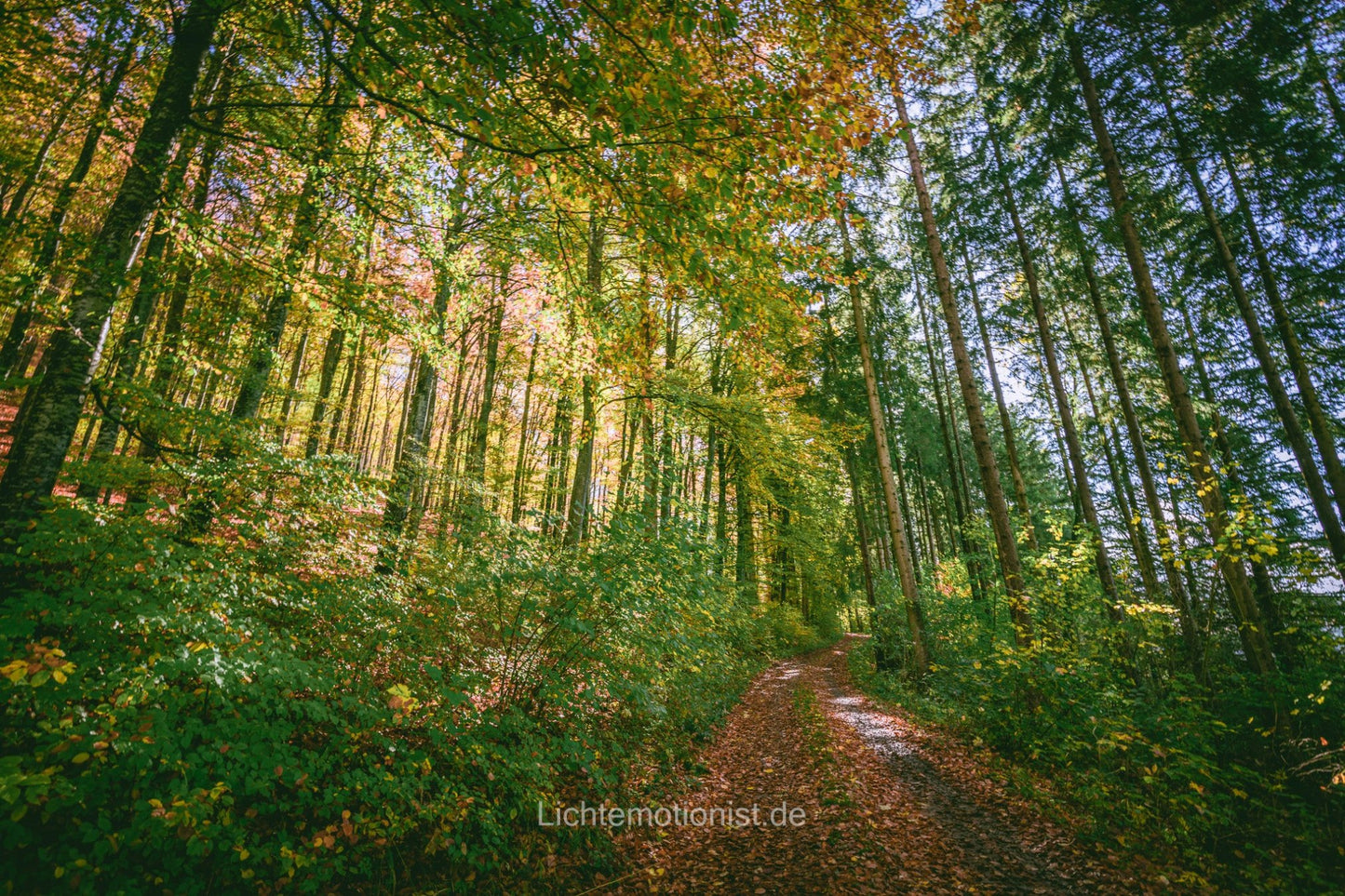 Bunter Herbstweg