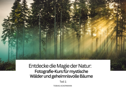E-Book - Fotografie-Kurs für mystische Wälder - Teil 1
